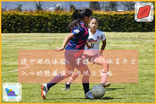 提升游戏体验，掌握6686体育平台入口的隐藏技巧与玩法策略