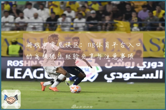 游戏中常见误区：ng体育平台入口的高级玩法经验分享与注意事项