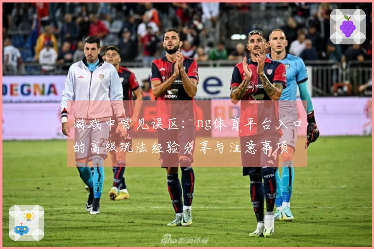 游戏中常见误区：ng体育平台入口的高级玩法经验分享与注意事项