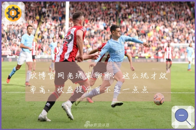 欧博官网老玩家聊聊：这么玩才效率高，收益提升可不是一点点